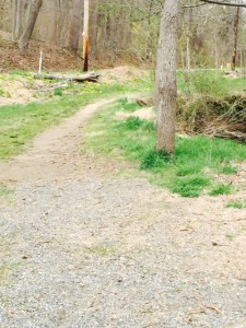 Part of the trail by Chester Creek