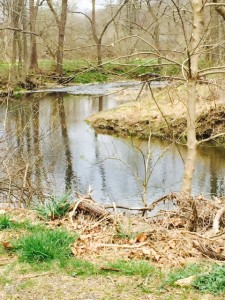 Chester Creek