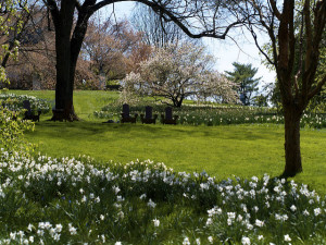 describe image here using keywords if possible