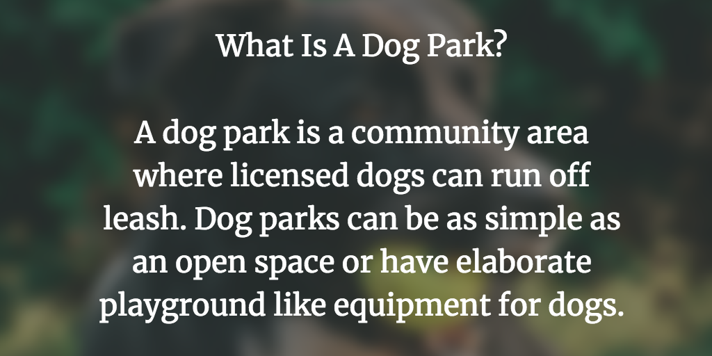 What is a dog park?